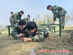 mmexport1774428843285